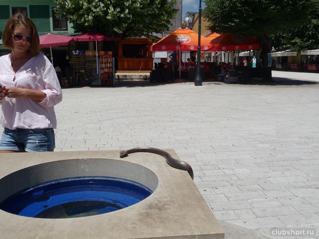17282_cetine1020683.jpg